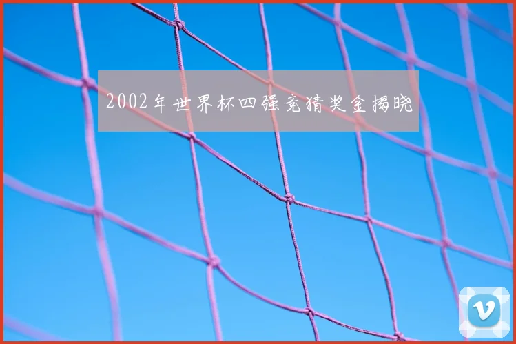 2002年世界杯四强竞猜奖金揭晓