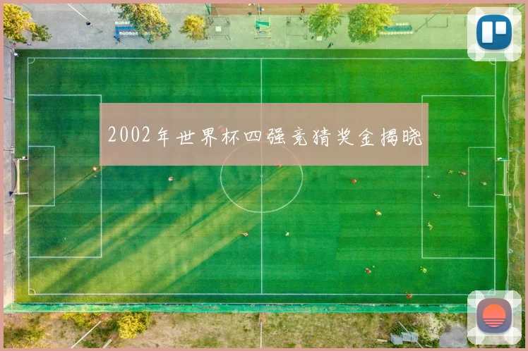 2002年世界杯四强竞猜奖金揭晓